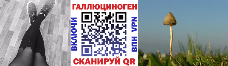 Псилоцибиновые грибы ЛСД  Котовск 