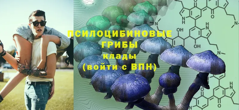 Псилоцибиновые грибы Magic Shrooms Котовск