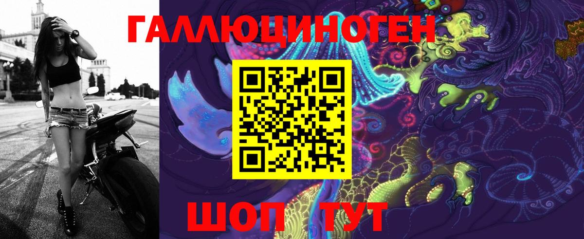 Галлюциногенные грибы Cubensis Котовск